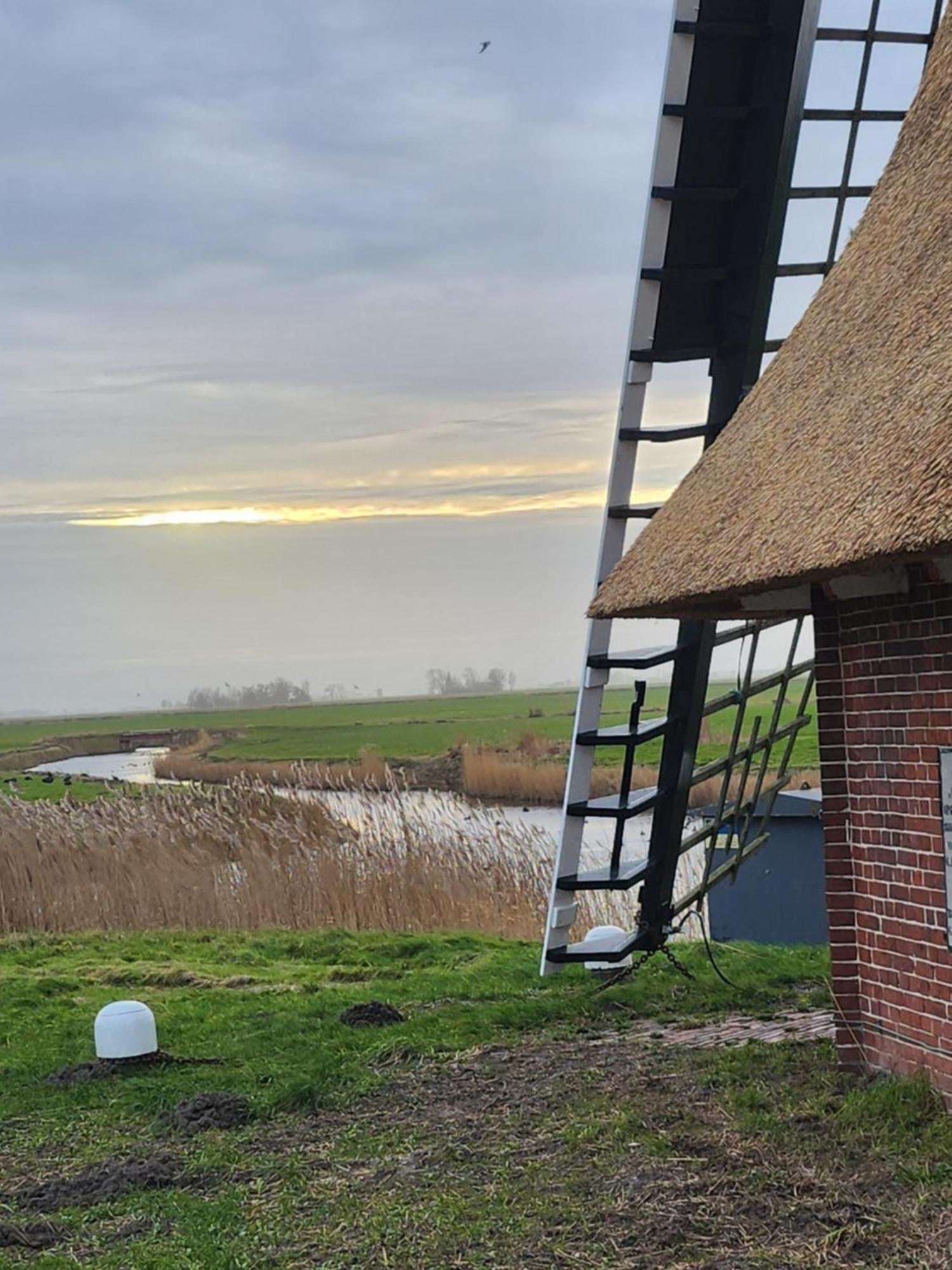 In Het Mooie Friesland Vele Bezienswaardigheden Hantum Eksteriør billede